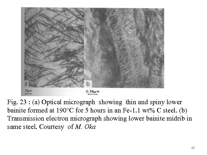Fig. 23 : (a) Optical micrograph showing thin and spiny lower bainite formed at