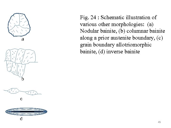 a Fig. 24 : Schematic illustration of various other morphologies: (a) Nodular bainite, (b)