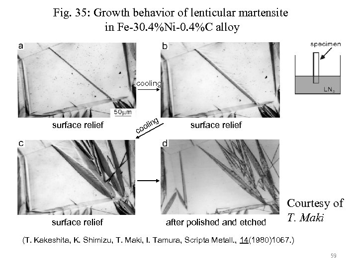 Fig. 35: Growth behavior of lenticular martensite in Fe-30. 4%Ni-0. 4%C alloy cooling surface