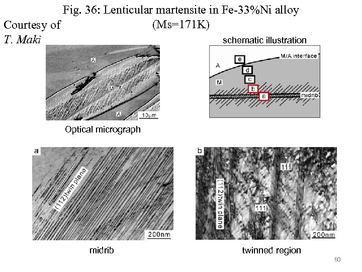 Fig. 36: Lenticular martensite in Fe-33%Ni alloy (Ms=171 K) Courtesy of T. Maki schematic