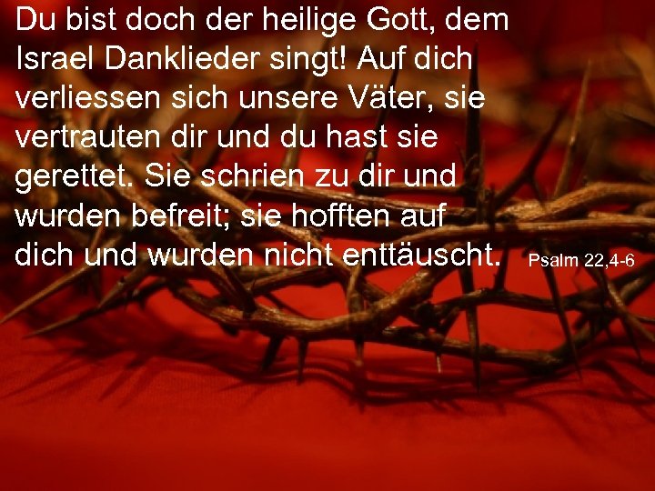 Du bist doch der heilige Gott, dem Israel Danklieder singt! Auf dich verliessen sich