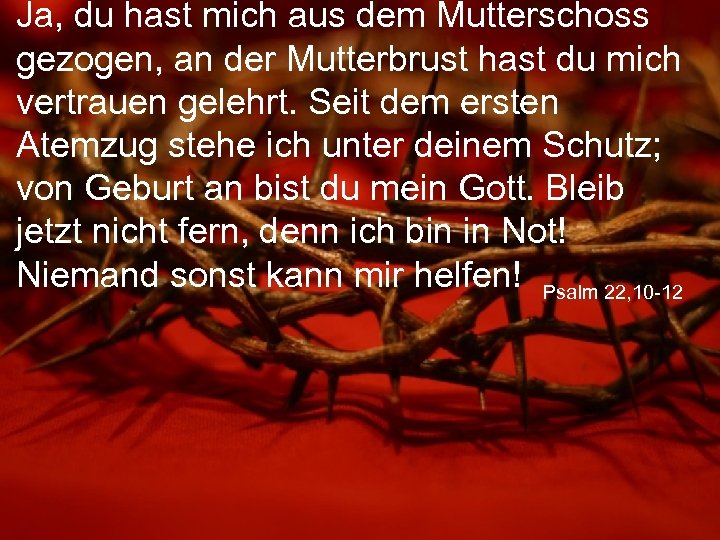 Ja, du hast mich aus dem Mutterschoss gezogen, an der Mutterbrust hast du mich