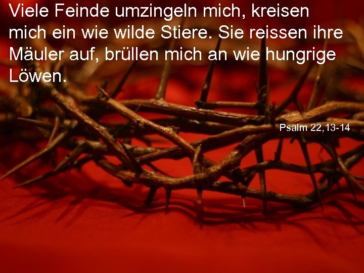 Viele Feinde umzingeln mich, kreisen mich ein wie wilde Stiere. Sie reissen ihre Mäuler