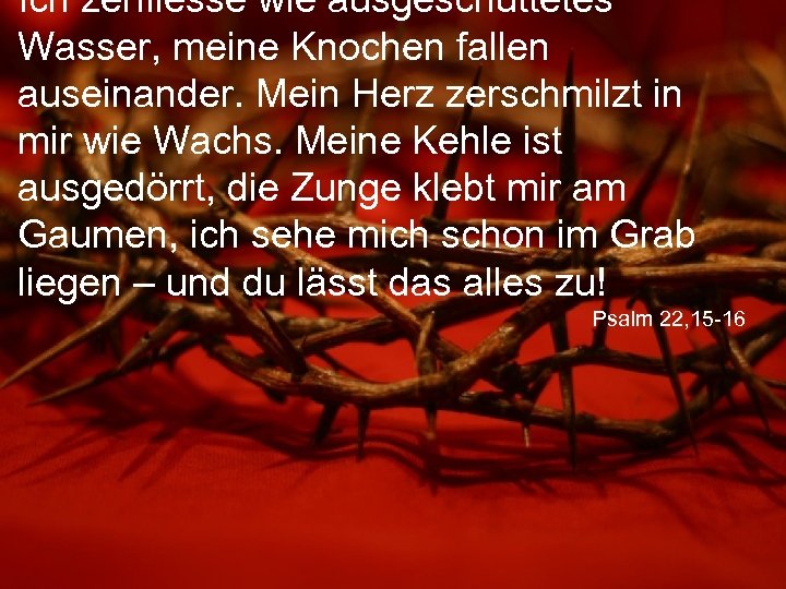 Ich zerfliesse wie ausgeschüttetes Wasser, meine Knochen fallen auseinander. Mein Herz zerschmilzt in mir
