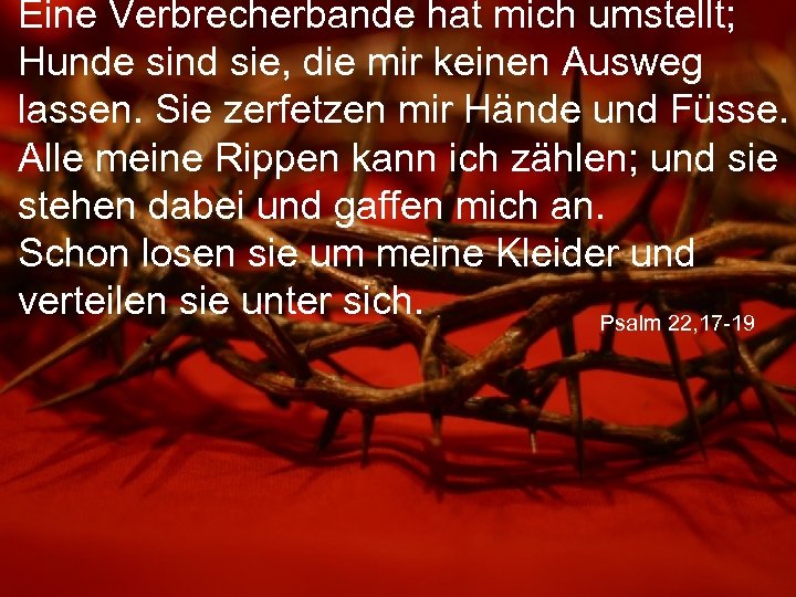 Eine Verbrecherbande hat mich umstellt; Hunde sind sie, die mir keinen Ausweg lassen. Sie