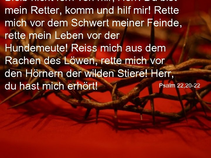Bleib nicht fern von mir, Herr! Du bist mein Retter, komm und hilf mir!