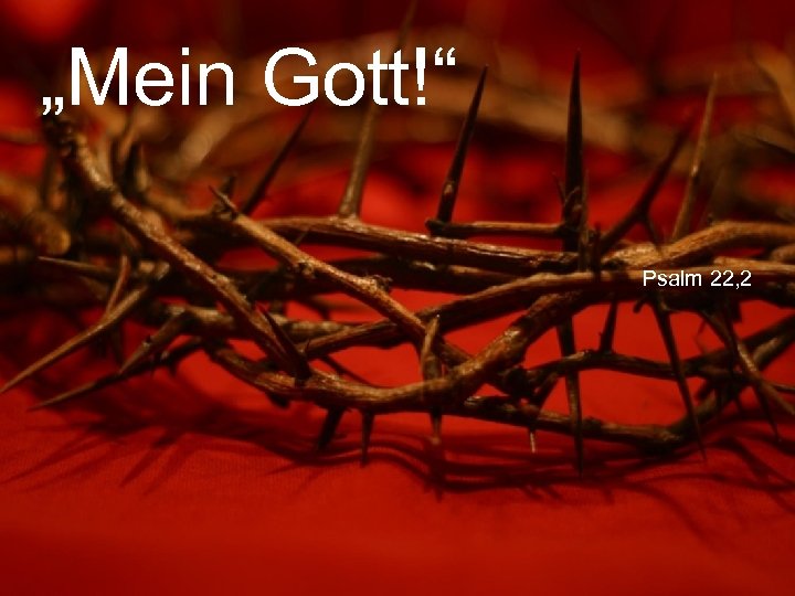 „Mein Gott!“ Psalm 22, 2 