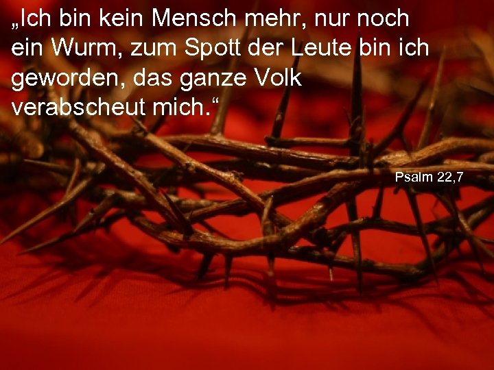 „Ich bin kein Mensch mehr, nur noch ein Wurm, zum Spott der Leute bin