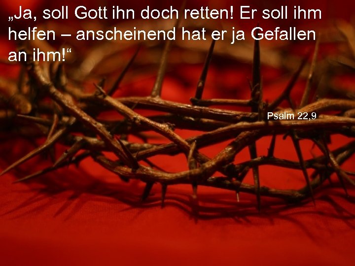 „Ja, soll Gott ihn doch retten! Er soll ihm helfen – anscheinend hat er