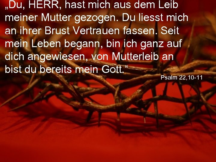 „Du, HERR, hast mich aus dem Leib meiner Mutter gezogen. Du liesst mich an