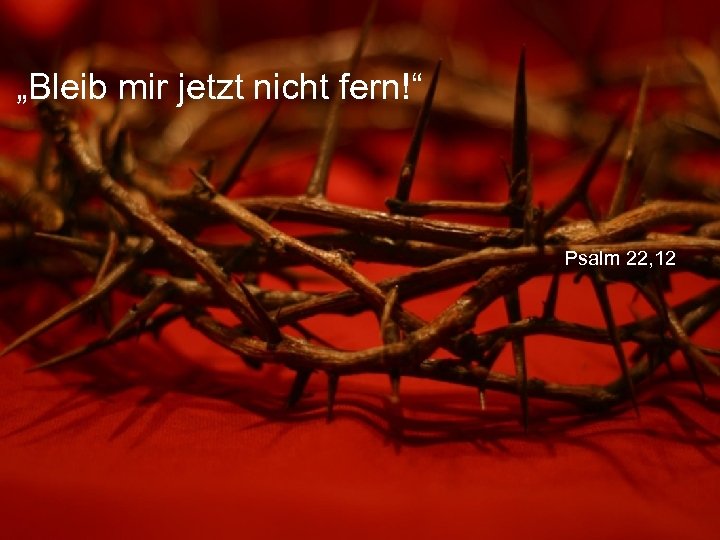 „Bleib mir jetzt nicht fern!“ Psalm 22, 12 