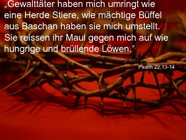 „Gewalttäter haben mich umringt wie eine Herde Stiere, wie mächtige Büffel aus Baschan haben