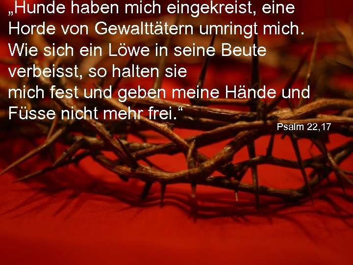 „Hunde haben mich eingekreist, eine Horde von Gewalttätern umringt mich. Wie sich ein Löwe