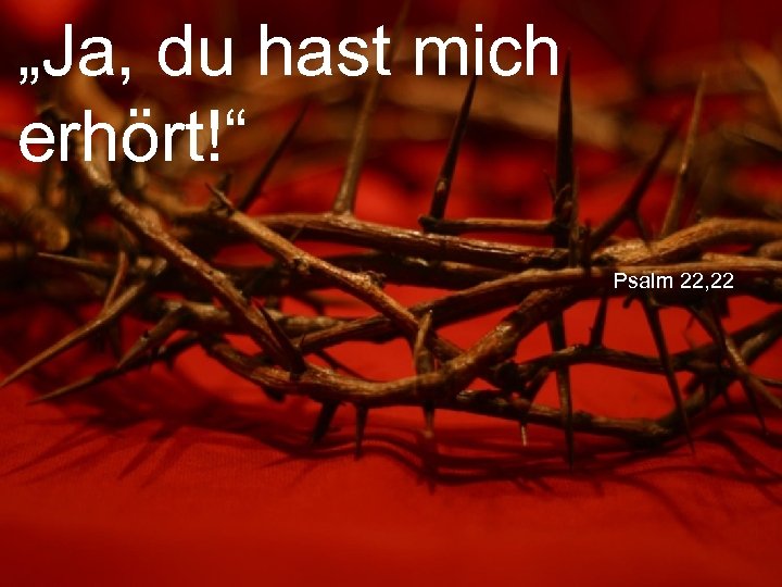 „Ja, du hast mich erhört!“ Psalm 22, 22 