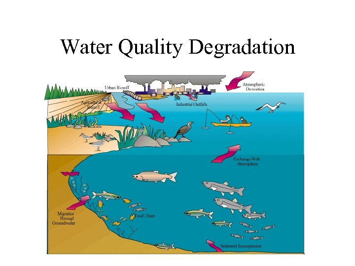 Water Quality Degradation 