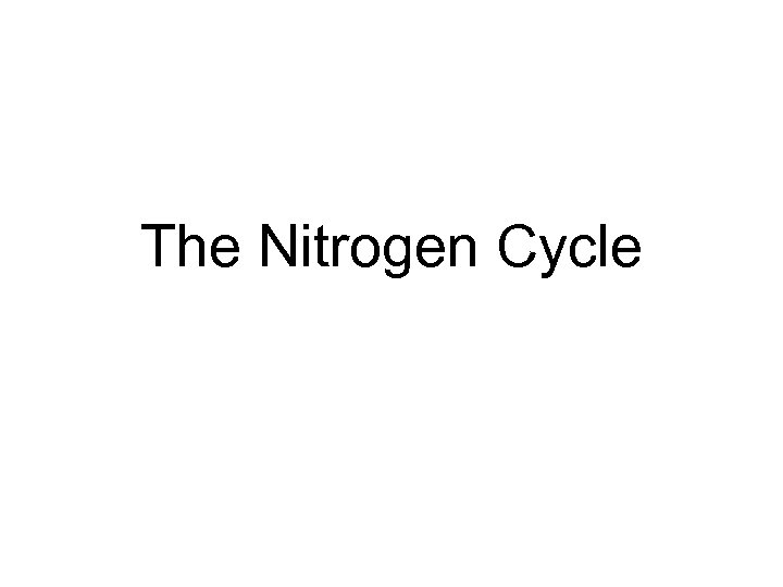 The Nitrogen Cycle 