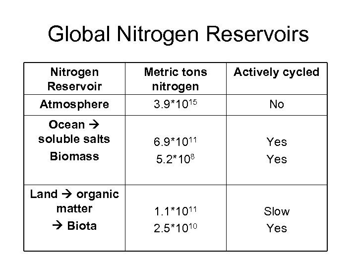 Global Nitrogen Reservoirs Nitrogen Reservoir Atmosphere Metric tons nitrogen 3. 9*1015 Actively cycled Ocean