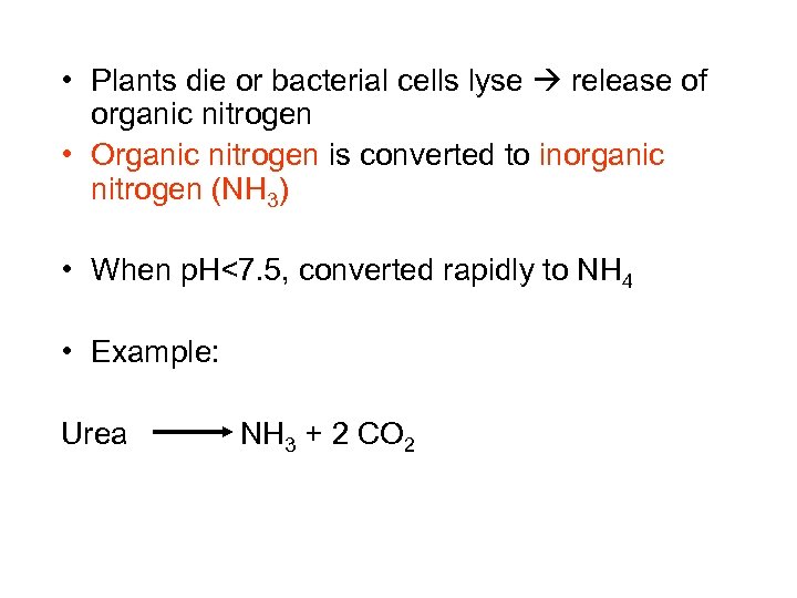  • Plants die or bacterial cells lyse release of organic nitrogen • Organic