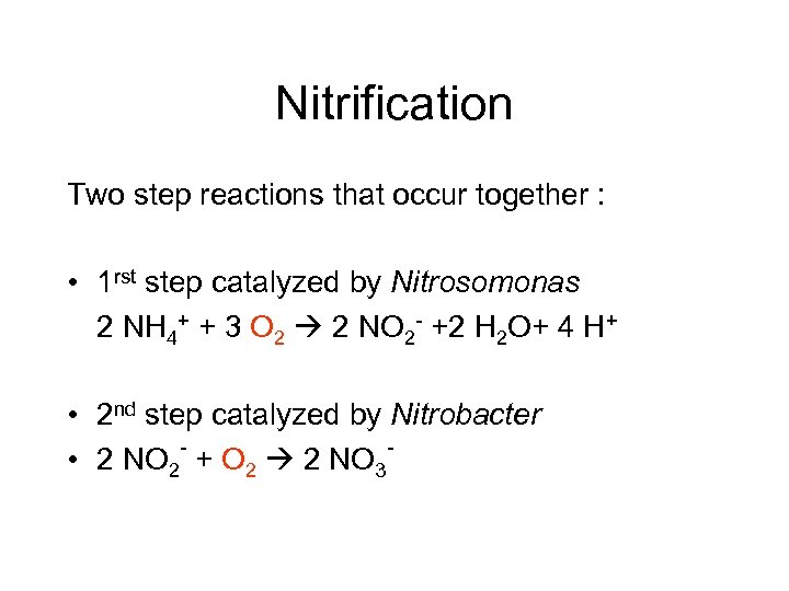 Nitrification Two step reactions that occur together : • 1 rst step catalyzed by