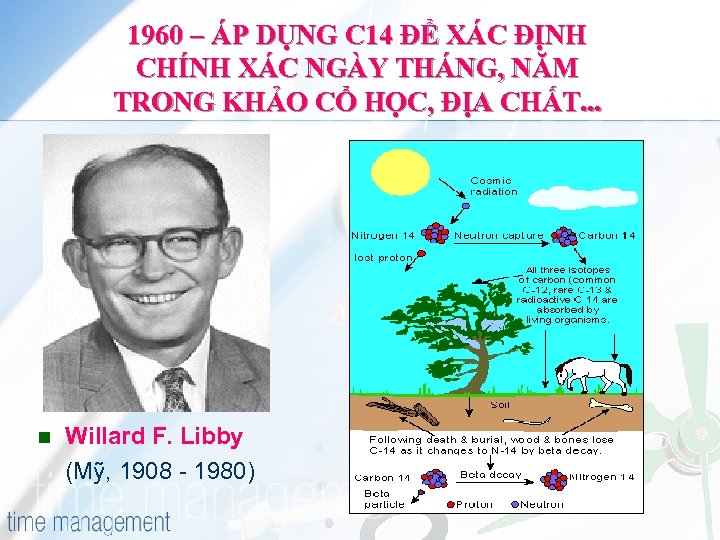 1960 – ÁP DỤNG C 14 ĐỂ XÁC ĐỊNH CHÍNH XÁC NGÀY THÁNG, NĂM