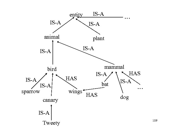entity IS-A animal IS-A bird IS-A sparrow canary IS-A … IS-A plant IS-A mammal
