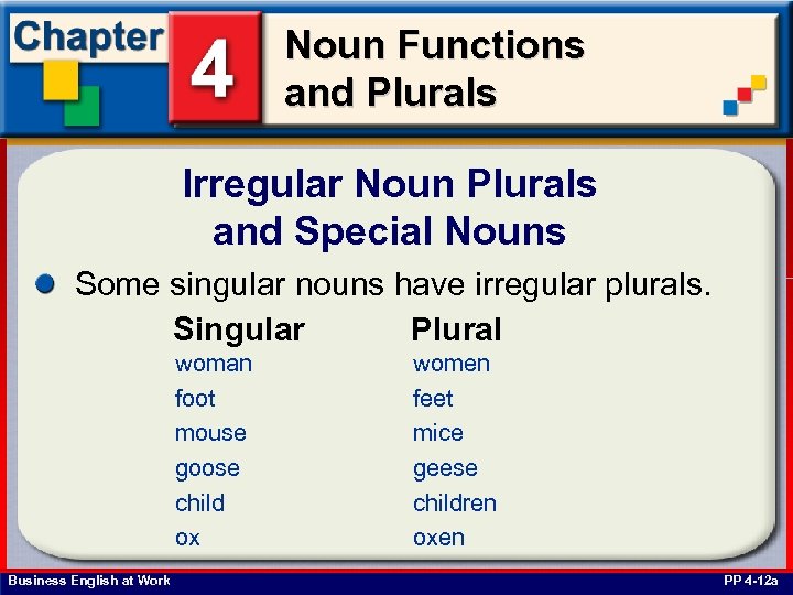 Noun Functions and Plurals Irregular Noun Plurals and Special Nouns Some singular nouns have