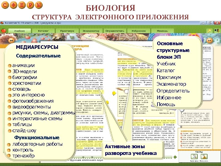 БИОЛОГИЯ СТРУКТУРА ЭЛЕКТРОННОГО ПРИЛОЖЕНИЯ Основные структурные блоки ЭП Учебник Каталог Практикум Экзаменатор Определитель Избранное