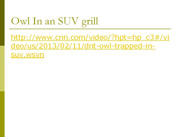 Owl In an SUV grill http: //www. cnn. com/video/? hpt=hp_c 3#/vi deo/us/2013/02/11/dnt-owl-trapped-insuv. wsvn 