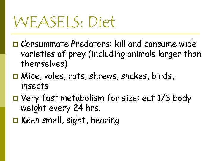 WEASELS: Diet Consummate Predators: kill and consume wide varieties of prey (including animals larger