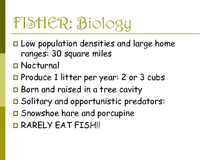 FISHER: Biology Low population densities and large home ranges: 30 square miles p Nocturnal