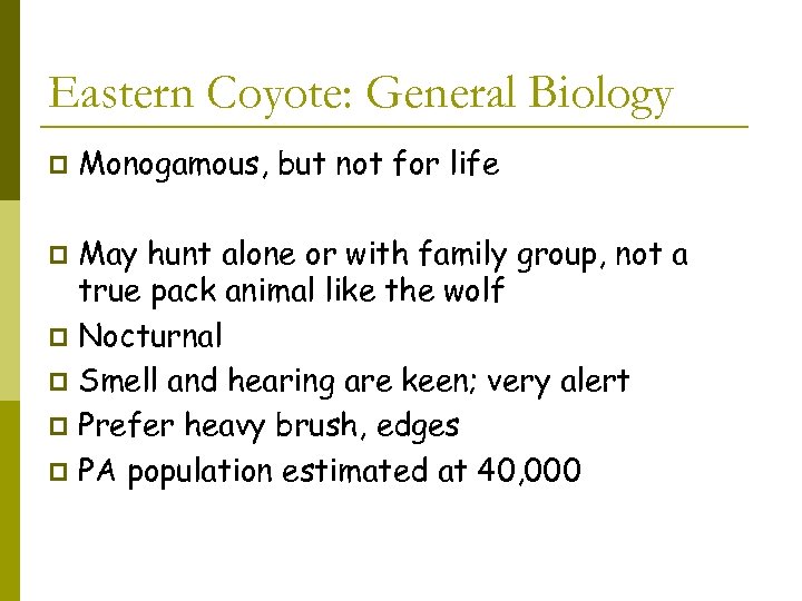 Eastern Coyote: General Biology p Monogamous, but not for life May hunt alone or