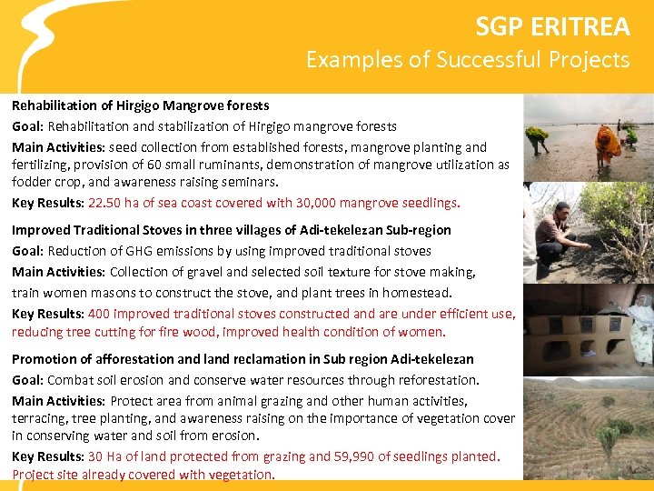 SGP ERITREA Examples of Successful Projects Rehabilitation of Hirgigo Mangrove forests Goal: Rehabilitation and