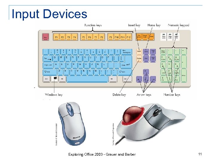 Input Devices Exploring Office 2003 - Grauer and Barber 11 