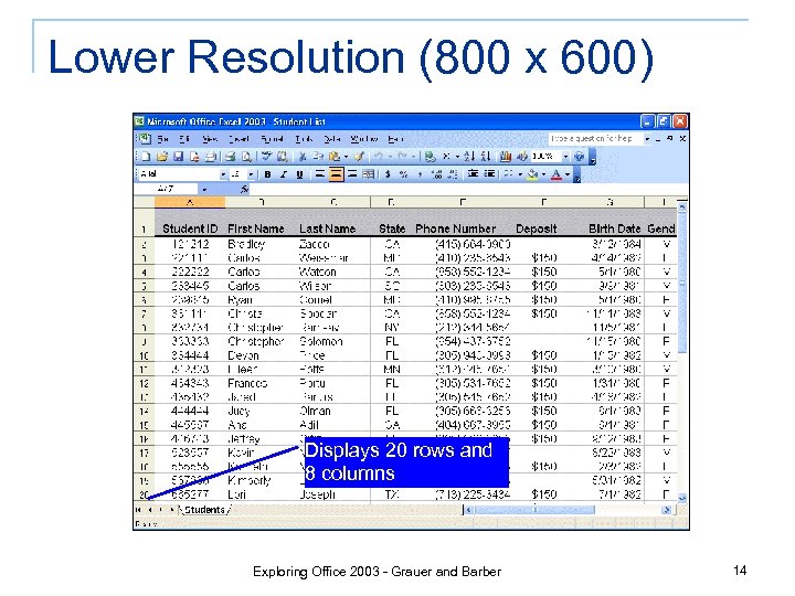 Lower Resolution (800 x 600) Displays 20 rows and 8 columns Exploring Office 2003