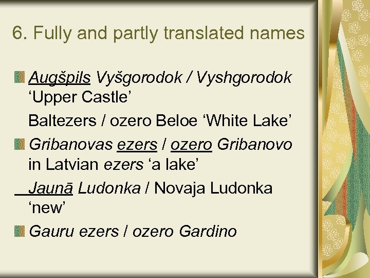 6. Fully and partly translated names Augšpils Vyšgorodok / Vyshgorodok ‘Upper Castle’ Baltezers /