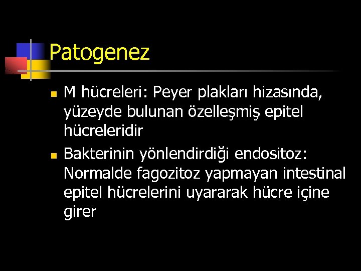 Patogenez n n M hücreleri: Peyer plakları hizasında, yüzeyde bulunan özelleşmiş epitel hücreleridir Bakterinin