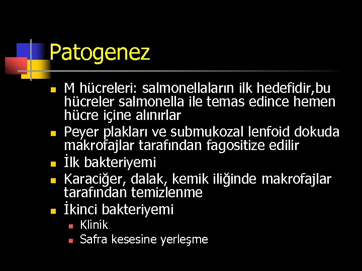 Patogenez n n n M hücreleri: salmonellaların ilk hedefidir, bu hücreler salmonella ile temas