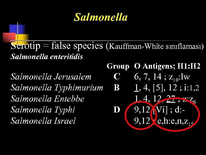 Salmonella Serotip = false species (Kauffman-White sınıflaması) Salmonella enteritidis Group O Antigens; H 1: