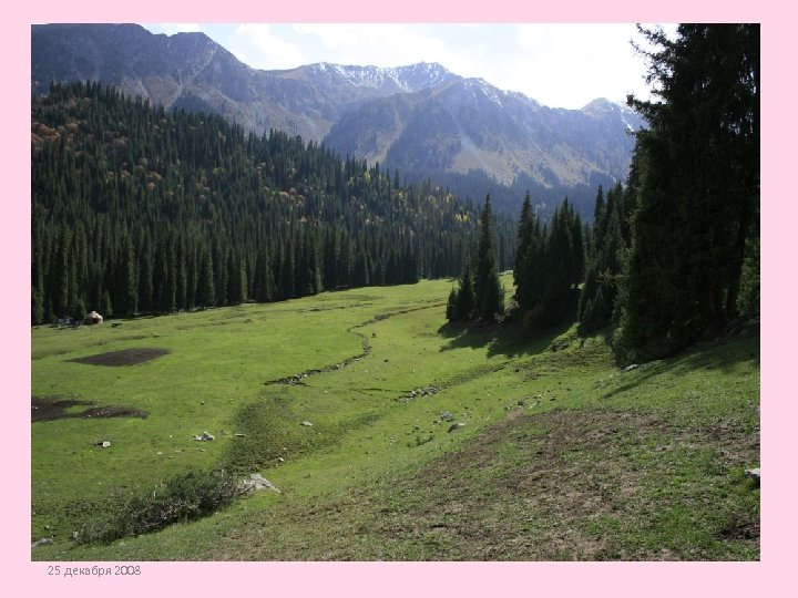 25 декабря 2008 