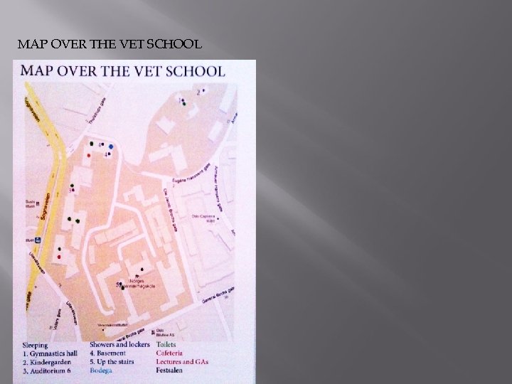 MAP OVER THE VET SCHOOL 
