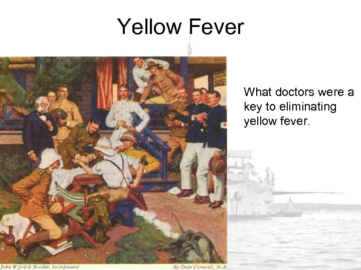 Yellow Fever What doctors were a key to eliminating yellow fever. 