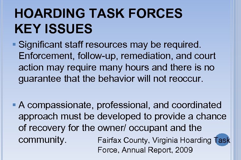 HOARDING TASK FORCES KEY ISSUES § Significant staff resources may be required. Enforcement, follow-up,