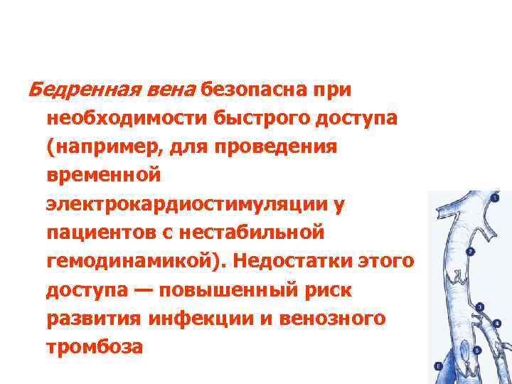 Бедренная вена безопасна при необходимости быстрого доступа (например, для проведения временной электрокардиостимуляции у пациентов