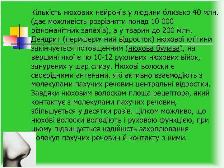 Кількість нюхових нейронів у людини близько 40 млн. (дає можливість розрізняти понад 10 000