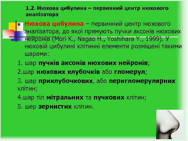 1. 2. Нюхова цибулина – первинний центр нюхового аналізатора, до якої прямують пучки аксонів