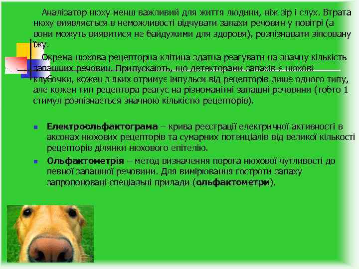  Аналізатор нюху менш важливий для життя людини, ніж зір і слух. Втрата нюху