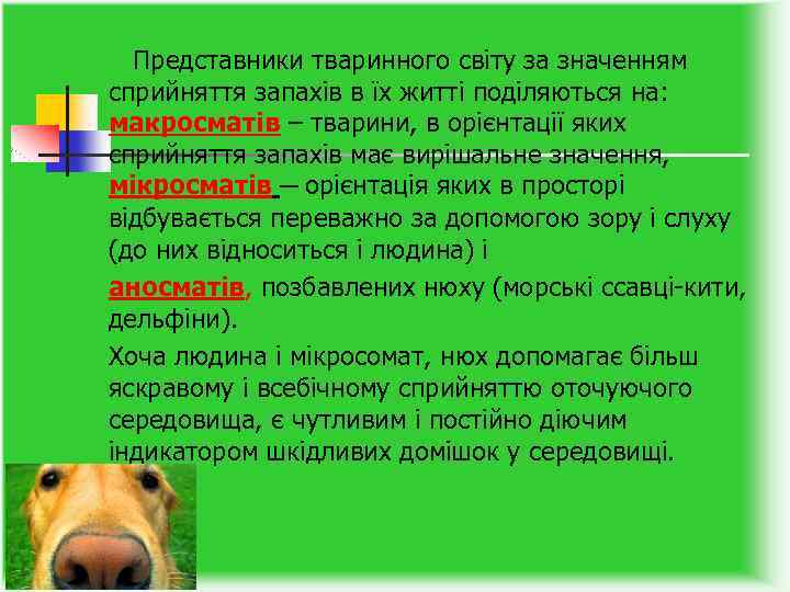  Представники тваринного світу за значенням сприйняття запахів в їх житті поділяються на: макросматів