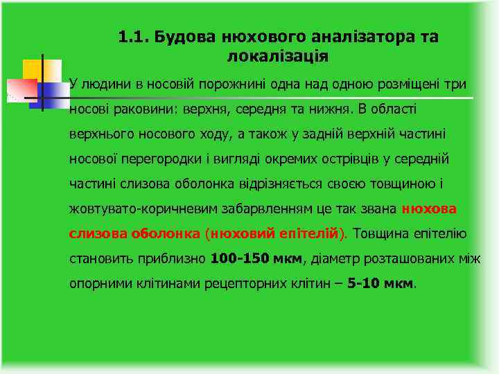 1. 1. Будова нюхового аналізатора та локалізація У людини в носовій порожнині одна над