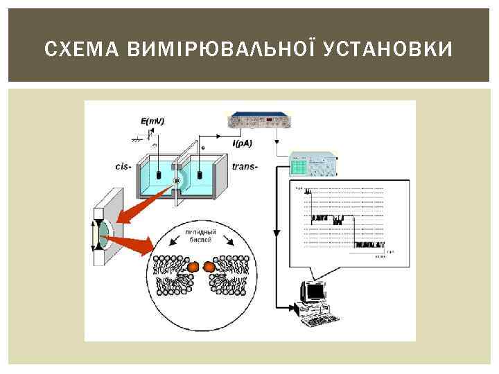 СХЕМА ВИМІРЮВАЛЬНОЇ УСТАНОВКИ 