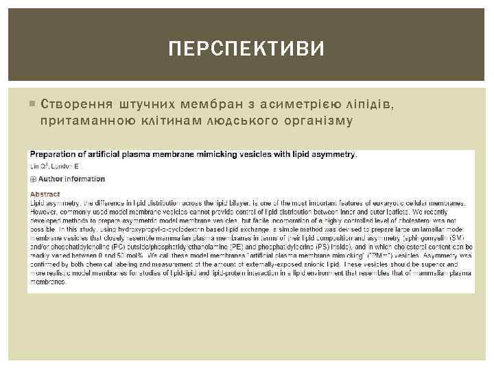 ПЕРСПЕКТИВИ Створення штучних мембран з асиметрією ліпідів, притаманною клітинам людського організму 